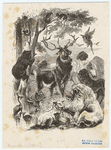 Image ID 821822