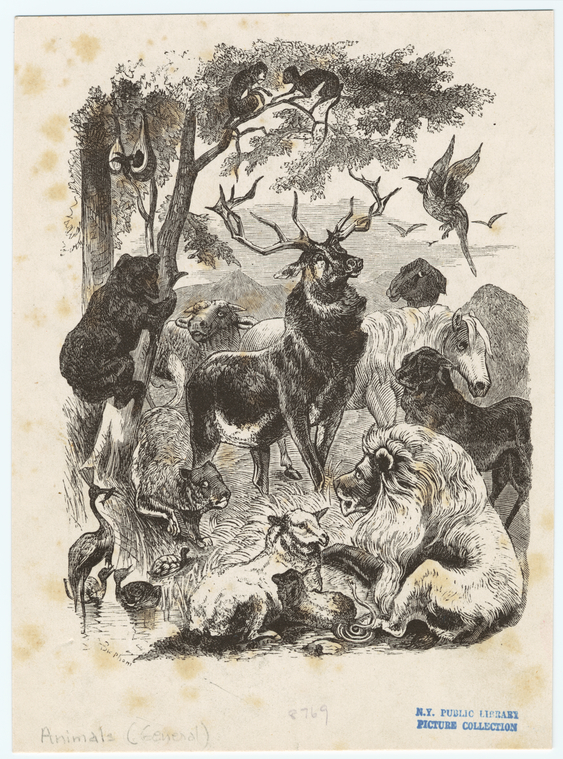 Image ID 821822
