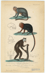 Image ID 821830