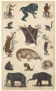 Image ID 821840