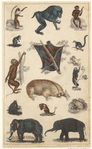 Image ID 821840