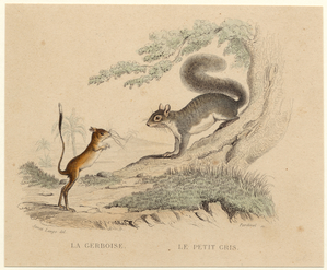 Image ID 821841
