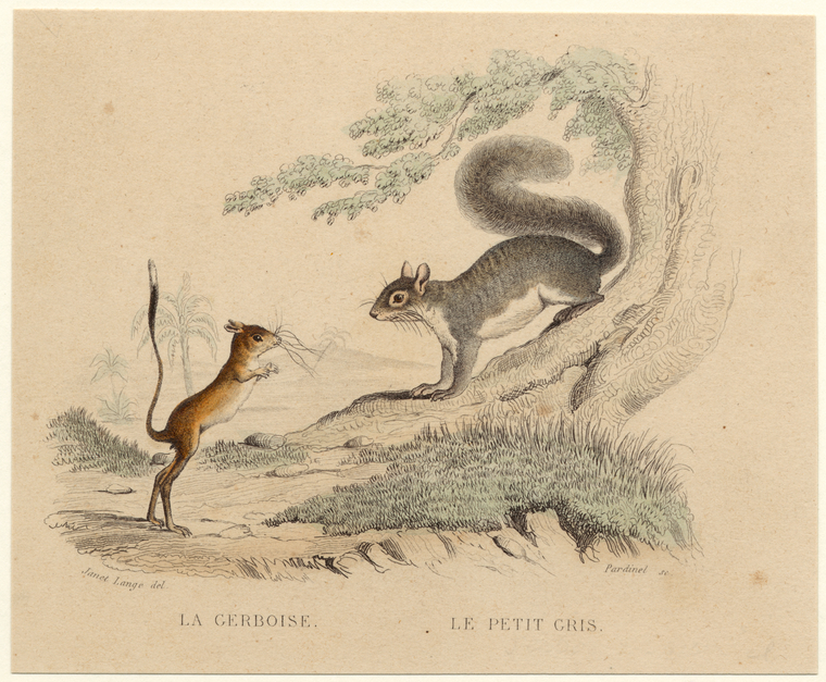 Image ID 821841
