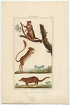 Image ID 821844