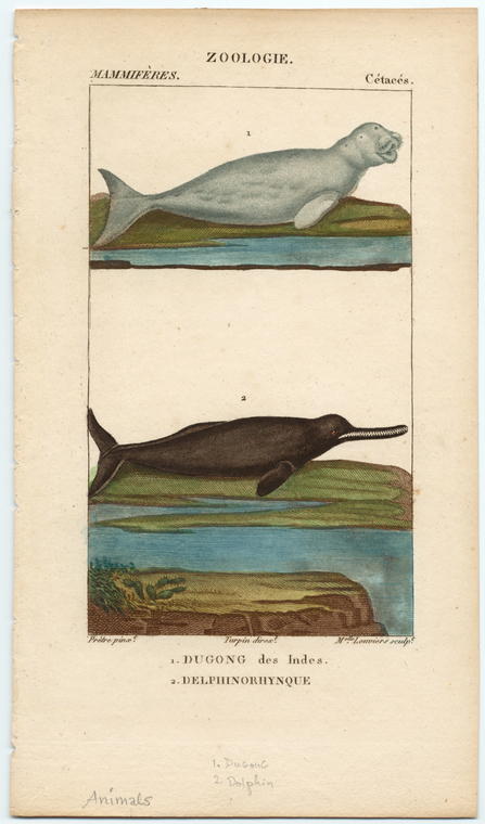Image ID 821848
