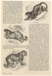 Image ID 821853
