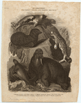 Image ID 821855