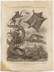 Image ID 821856