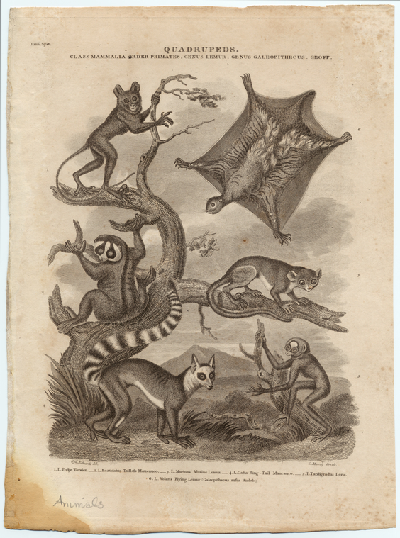 Image ID 821856
