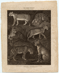 Image ID 821857