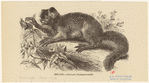 Image ID 821859