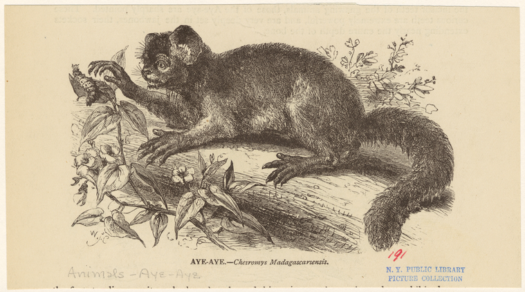 Image ID 821859
