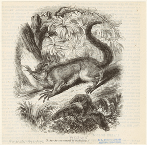 Image ID 821860