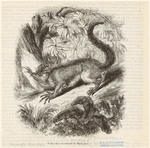 Image ID 821860