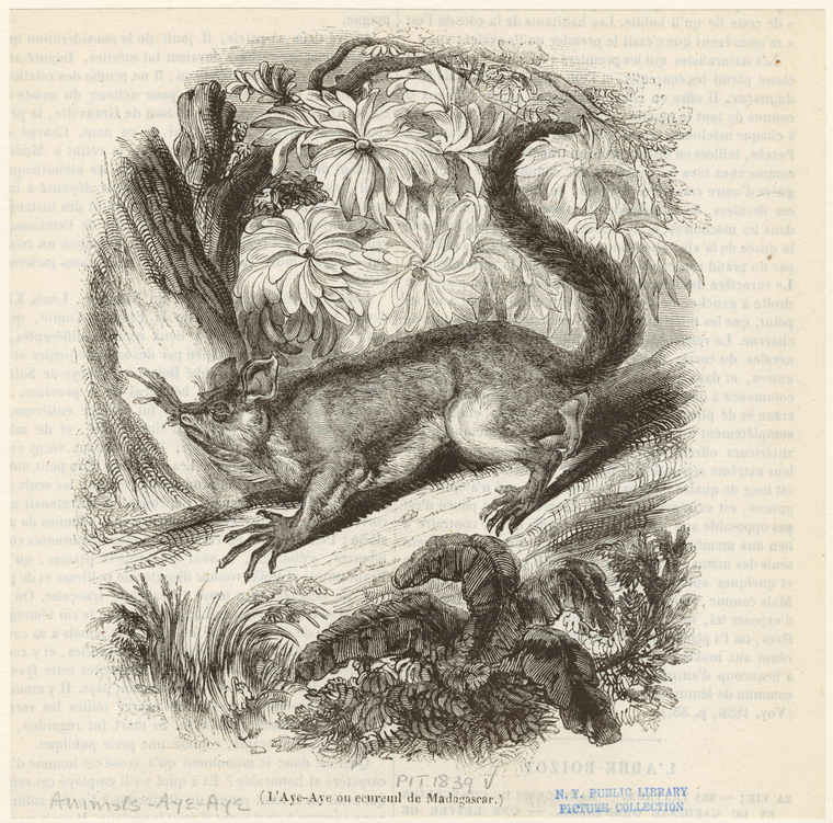 Image ID 821860
