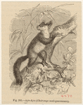 Image ID 821863