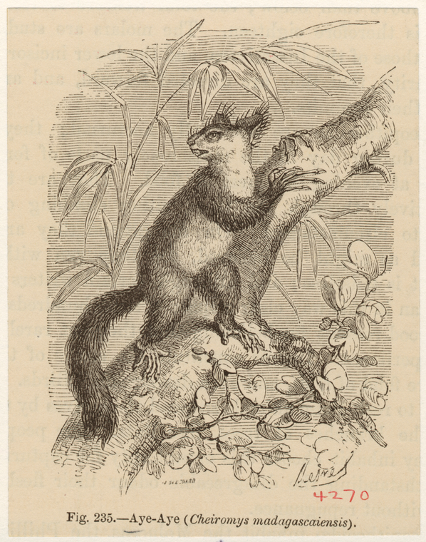 Image ID 821863
