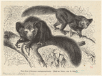Image ID 821864