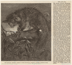 Image ID 821865