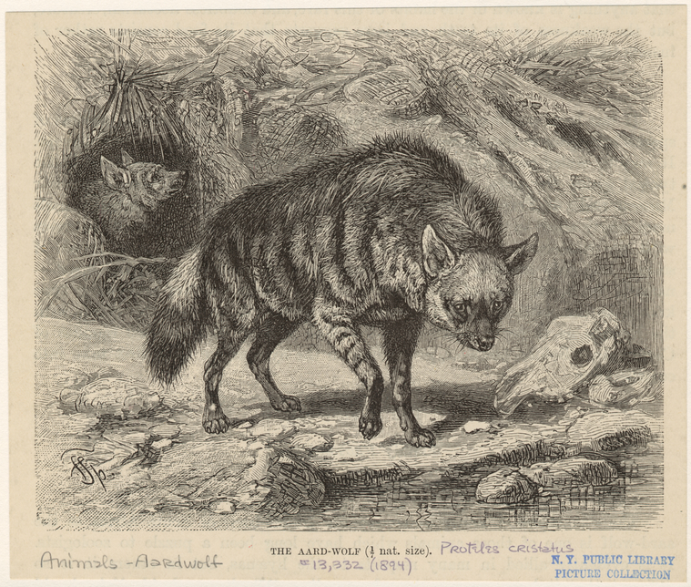 Image ID 821868
