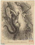 Image ID 821869