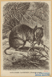 Image ID 821872