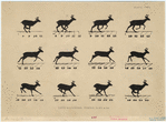 Image ID 821874