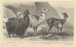 Image ID 821879