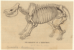 Image ID 821887