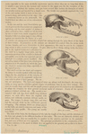 Image ID 821888