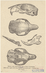 Image ID 821890
