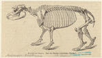 Image ID 821891