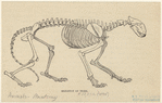 Image ID 821894