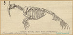 Image ID 821895