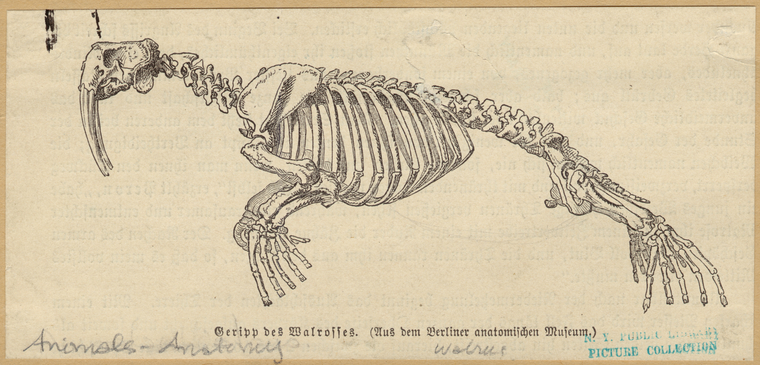 Image ID 821895
