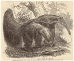 Image ID 821898