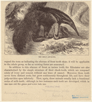Image ID 821899