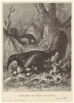 Image ID 821900