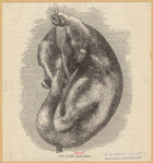 Image ID 821902