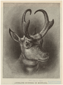 Image ID 821907