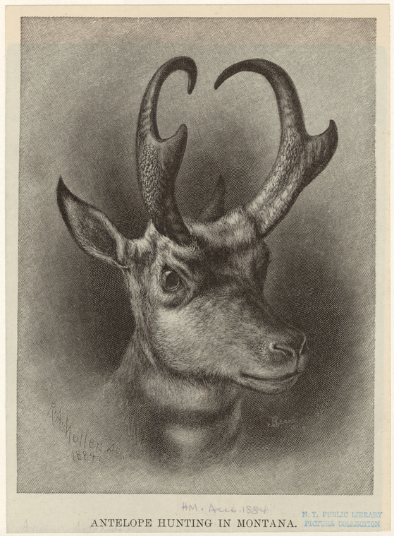 Image ID 821907
