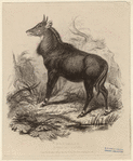 Image ID 821908