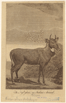 Image ID 821909