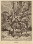 Image ID 821910