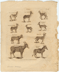 Image ID 821912