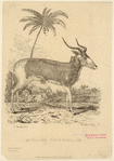 Image ID 821918
