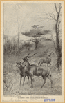 Image ID 821921