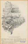 Image ID 821922