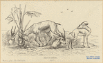 Image ID 821925