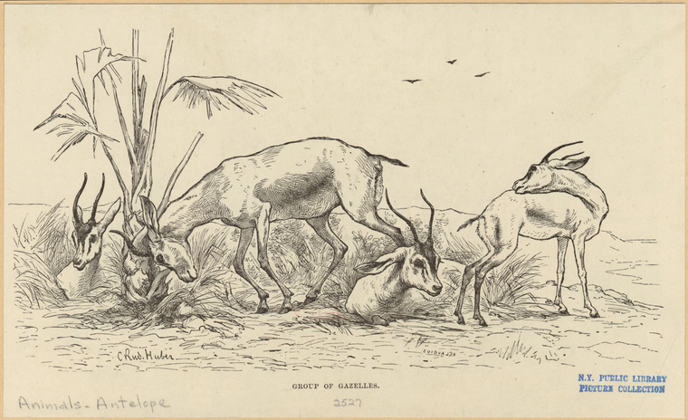 Image ID 821925
